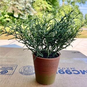 ARTIFICIAL ROSEMARY PLANT IN RUSTIC POT